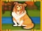 Žaidimas Bernese Mountain Dog Escape internete