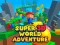 Žaidimas Super 3d World Adventure internete