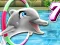 Žaidimas My Dolphin Show 7 internete