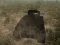 Žaidimas Tank Battle internete