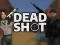 Žaidimas Deadshot.io internete