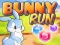Žaidimas Bunny Run internete