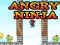 Žaidimas Angry Ninja internete