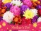 Žaidimas 2019 Mother's Day Puzzle internete