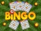 Žaidimas Bingo internete