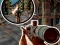 Žaidimas Sniper 3D Zombie internete