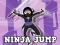 Žaidimas Ninja Jump internete