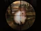 Žaidimas Classical Rabbit Sniper Hunting 2019 internete