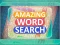 Žaidimas Amazing Word Search internete