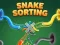 Žaidimas Snake Sorting internete