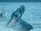 Žaidimas Power Boat Racing 3D internete