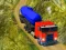 Žaidimas Indian Cargo Truck Simulator internete