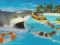Žaidimas La Shark internete