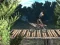 Žaidimas Bike Trial Xtreme Forest internete