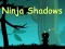 Žaidimas Ninja Shadows internete