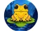 Žaidimas Frog Jumper internete