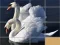 Žaidimas Animals Slide Puzzle internete