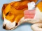 Žaidimas Dog Hospital internete