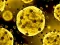Žaidimas Coronavirus Slide internete