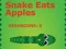 Žaidimas Snake Eats Apples internete
