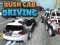 Žaidimas Rush Car Driving internete