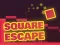 Žaidimas Square Escape internete