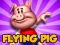 Žaidimas Flying Pig internete