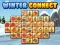 Žaidimas Winter connect internete