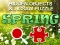 Žaidimas Hidjigs Spring internete