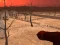 Žaidimas Wasteland Shooters internete