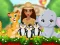 Žaidimas Moana Cute Zoo internete