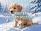 Žaidimas Winter Pets Puzzle internete