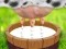 Žaidimas Milk The Cow internete