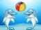 Žaidimas Dolphin Show internete