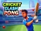 Žaidimas Cricket Clash Pong internete
