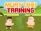 Žaidimas Muay Thai Training internete