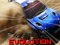 Žaidimas Nitro Rally Evolution internete
