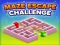 Žaidimas Maze Escape Challenge internete
