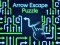 Žaidimas Arrow Escape Puzzle internete
