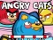 Žaidimas Angry Cats internete