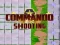 Žaidimas Commando Shooting internete