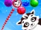 Žaidimas Raccoon Rescue internete