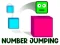 Žaidimas Number Jumping internete