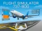 Žaidimas Flight Simulator 737-800 internete