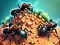 Žaidimas Ant Colony internete