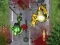 Žaidimas Crush The Zombies internete