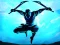 Žaidimas Shadow Ninja Revenge internete