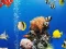 Žaidimas Sea Underwater Difference internete