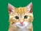 Žaidimas Idle Painter internete
