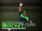 Žaidimas Cricket Fielder Challenge internete